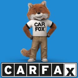 Car Fox Stuffed Animal