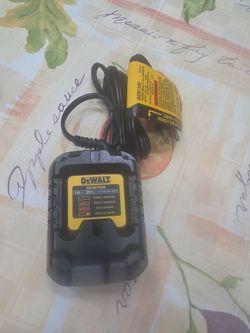 New Dewalt 2 stage 20v charger