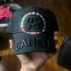 Canelo X Dandy