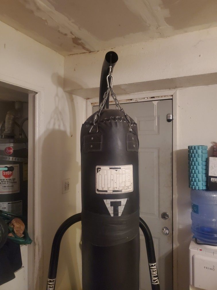 Everlast Punching Bag/ Speed Bag