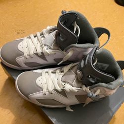 COOL GREY JORDAN 6