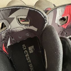 Jordan 6 Paris