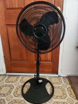Fan