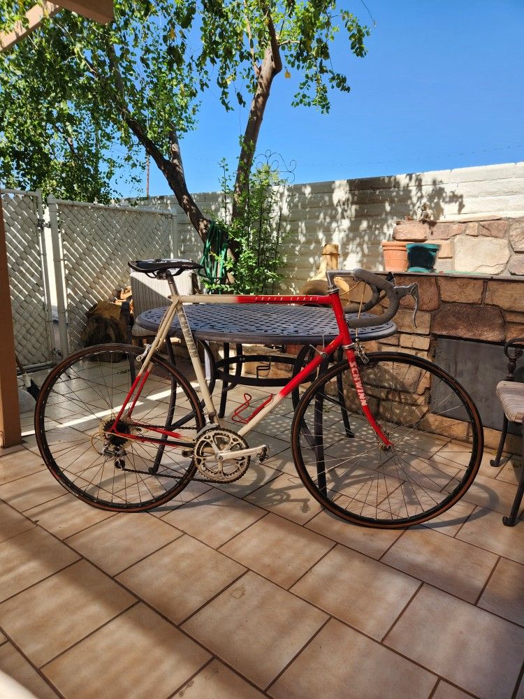 Vintage Schwinn Super Sport Bike