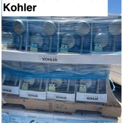 Kohler Double Shower Head