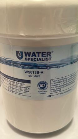 Water Specialist WS613B-A Refrigerator Water Filter