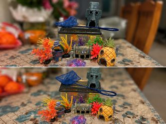Fish Decoration