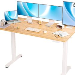 Electric Standing Desk