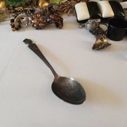 Duchess Silver Plated Spoon