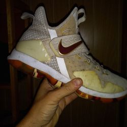 Nike Lebron Wine