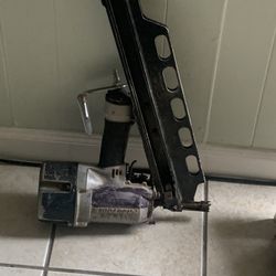 Gun