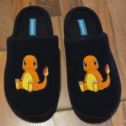 Men Pokemon Charmander Slippers