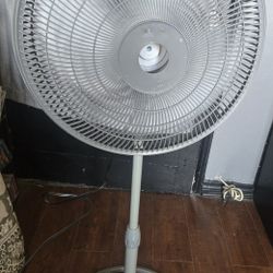 Fan 