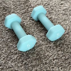 Pair of 5 lb Dumbbells – Light Blue Neoprene