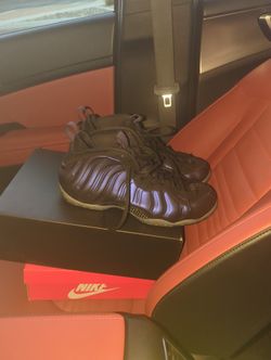 Nike Plum Foamposites Limited Edition and Greek Freak Limited Edition Multi Color Size 14