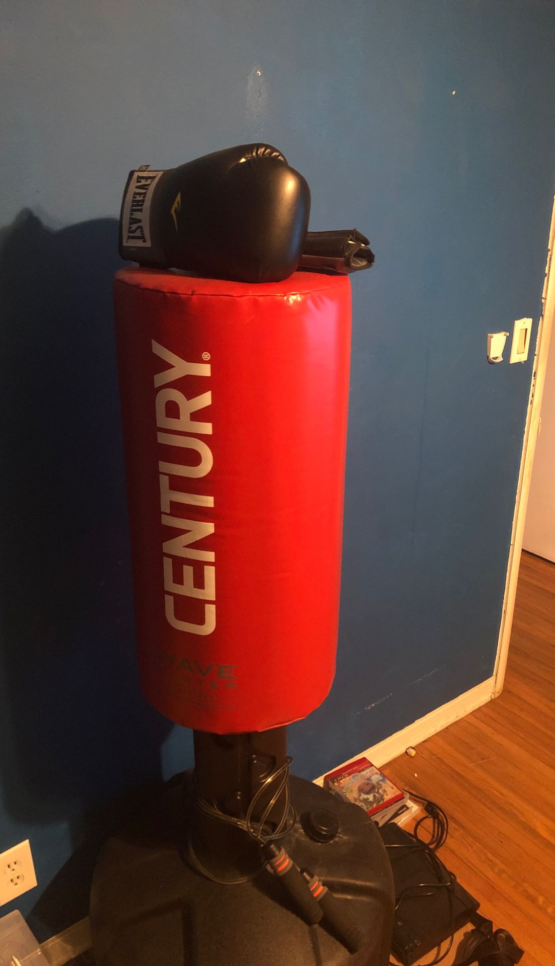 Century Punching Bag