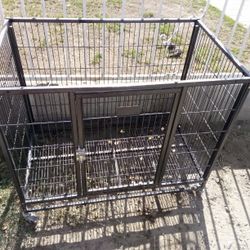 Dog Cage