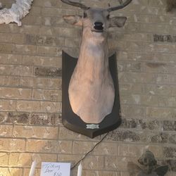 Talking deer with remove kontrole