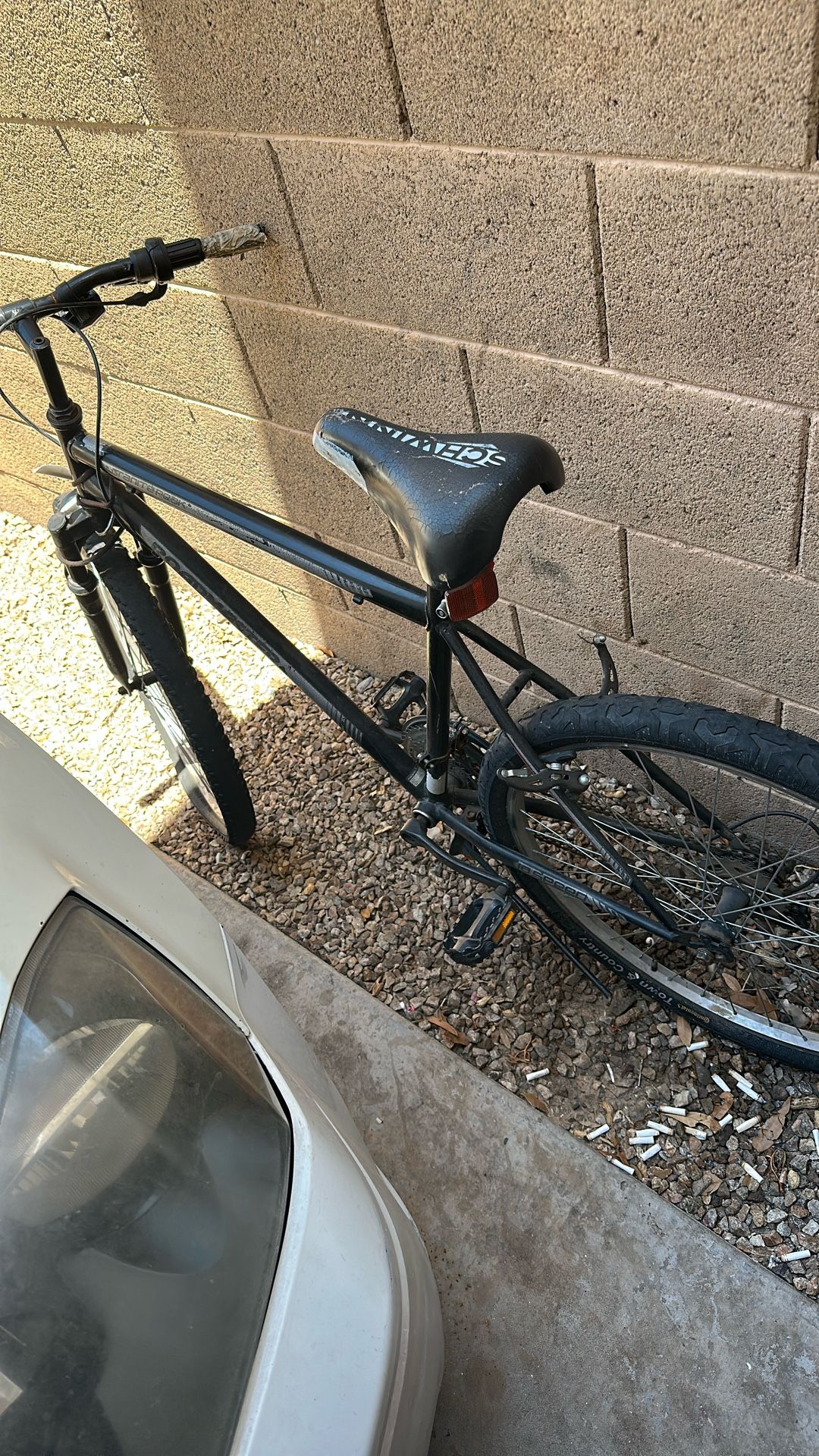 Mountain Bike