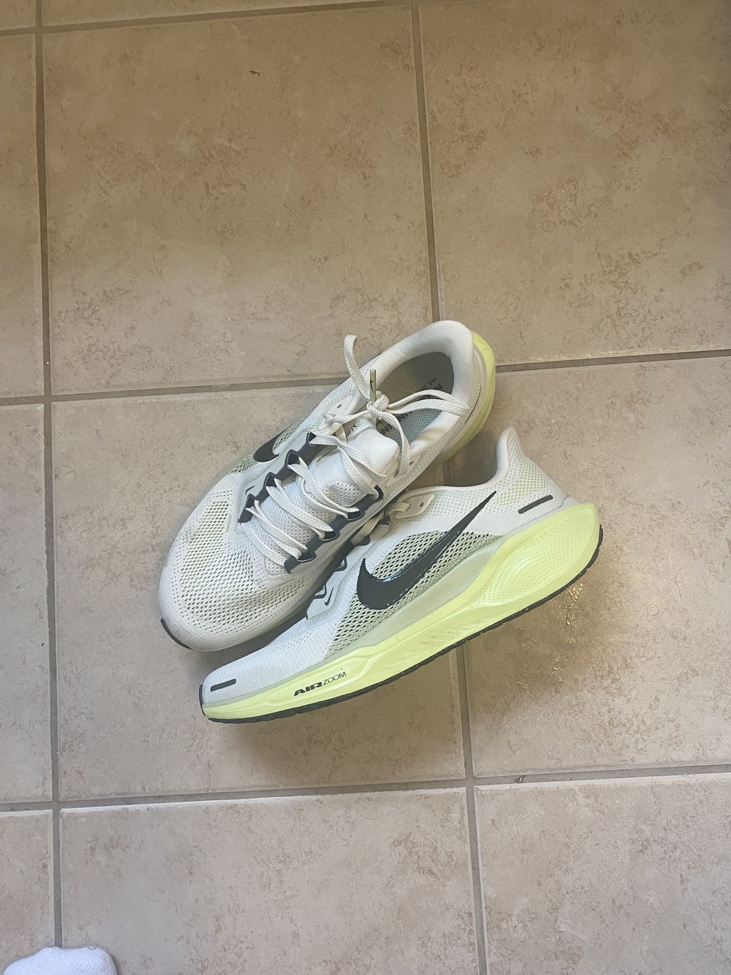 Nike Pegasus 41