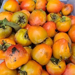 Persimmons