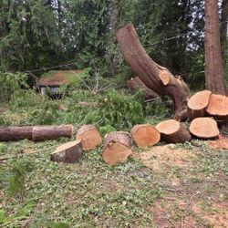 Free wood (Gig harbor)