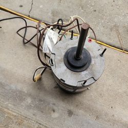 Fan Motor 