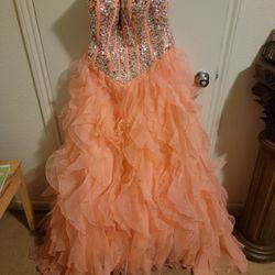 Quinceanara/Prom Dress