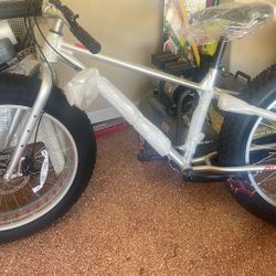 Brand New EVO Mountain Bike Never Used