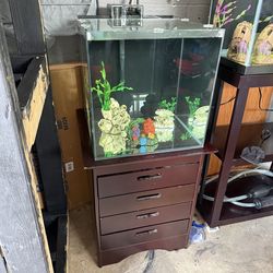 15 gallon cube aquarium