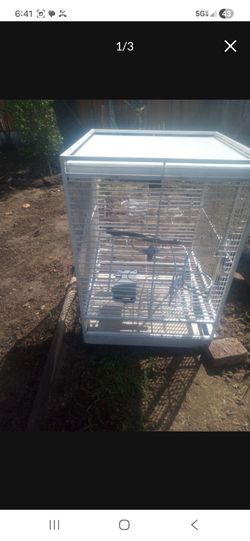 Birdcage $60