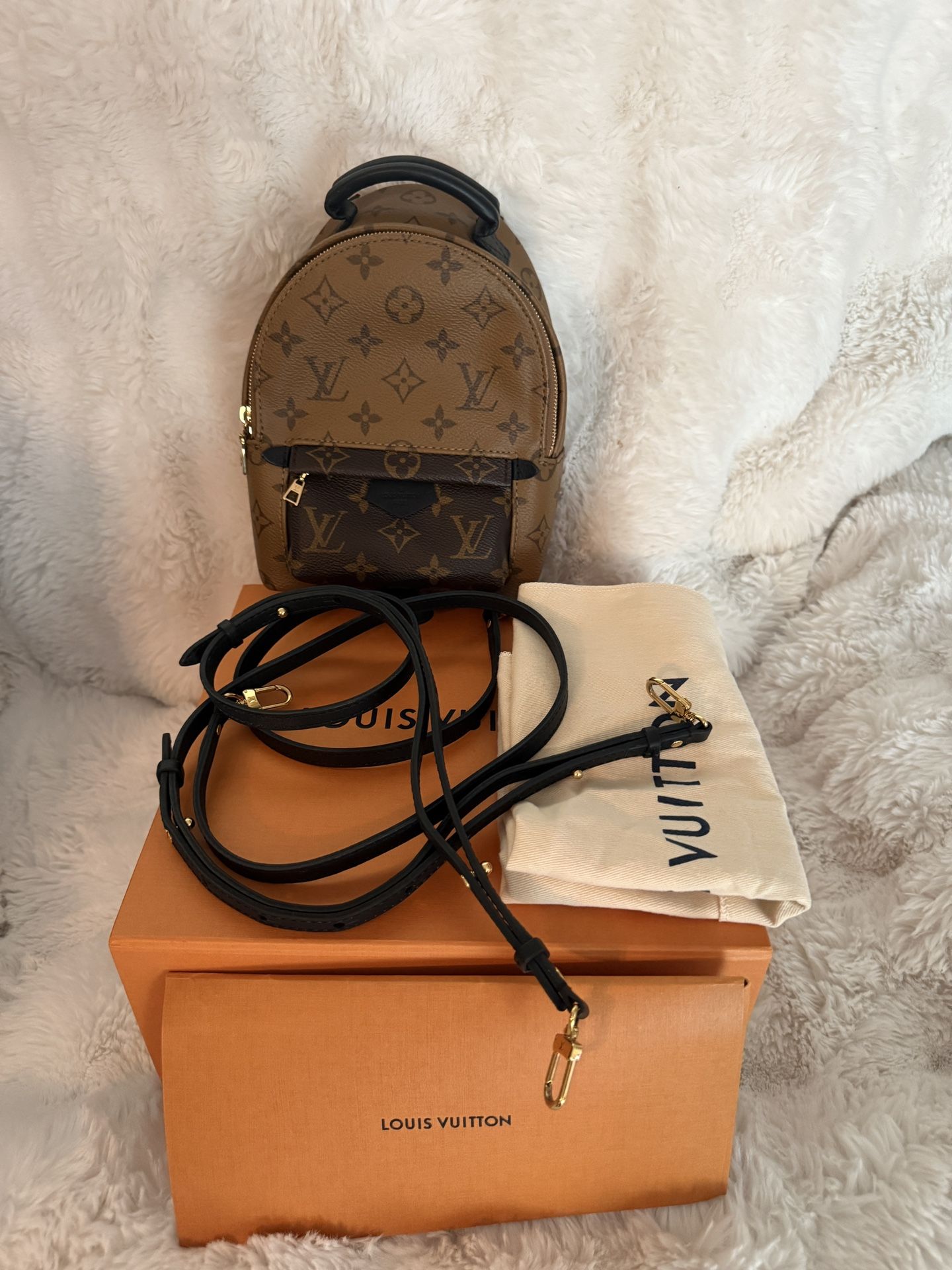 Louis Vuitton Palm Springs Mini Backpack
