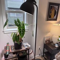 IKEA HEKTAR Floor Lamp