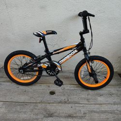 16 " In Kids Bike 