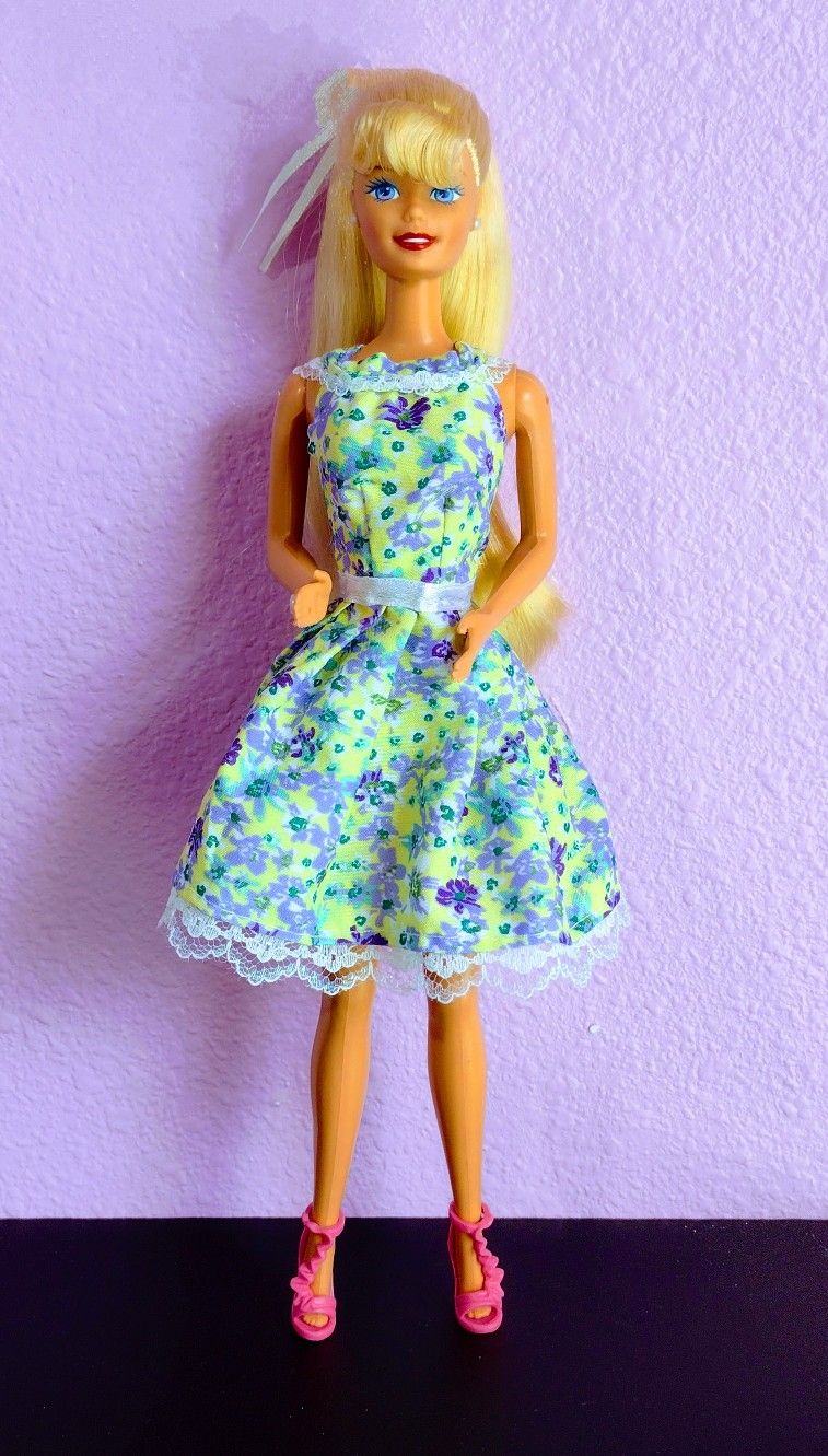 Vintage & Fashonista Barbie Dolls & Accessories.