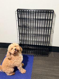 Metal Dog Fence / Playpen 2ft by 3ft (8 panels)