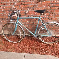 Peugeot Record Du Monde Sport Vintage 10speed