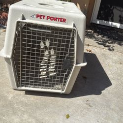 Dog Kennel