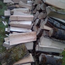 Firewood Dry & Seasoned 
