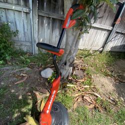 Electric Edger