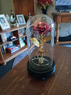Beauty and the Beast Rose