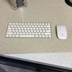 Apple Magic Mouse + Wireless Keyboard 