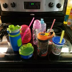 Cups And Container Everyday/Holiday