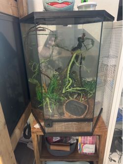 Reptile enclosure