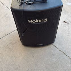 Roland BA-330 Stereo Battery Power/ Standard Power Multi Channel Amp