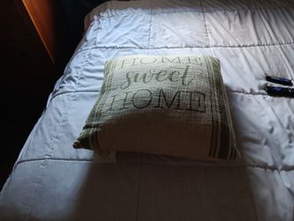 Large Pillow Sage Green And Cream