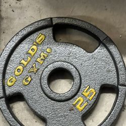 25LB PLATE 