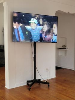 Samsung 55 inch with Mobile Cart