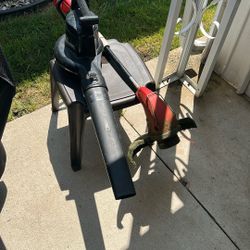 Leaf blower and Read Record