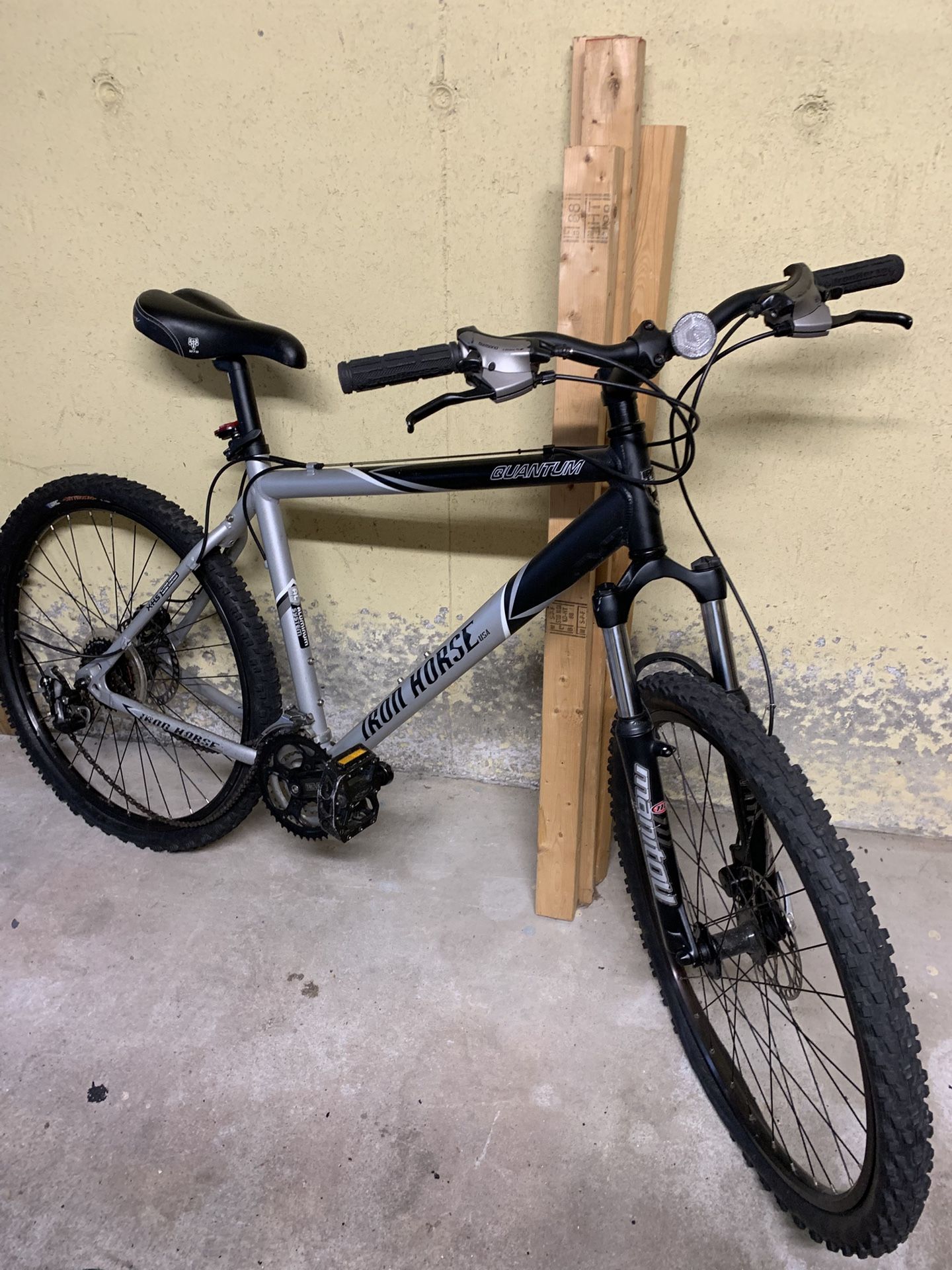 Iron Horse Quantum Bicycle